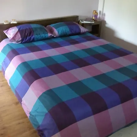Camping Eco Camping Juncal
