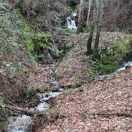 Eco Camping Juncal