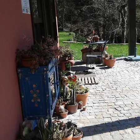 Eco Camping Juncal Marco de Canaveses