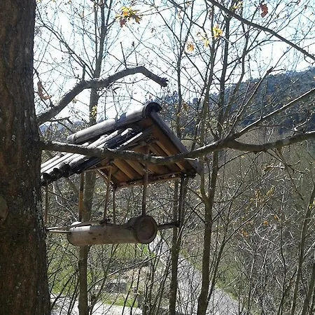 Eco Camping Juncal