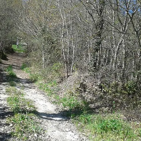 Camping Eco Camping Juncal *