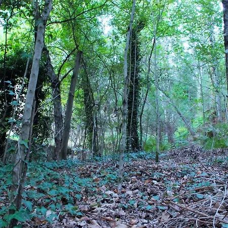 Eco Camping Juncal