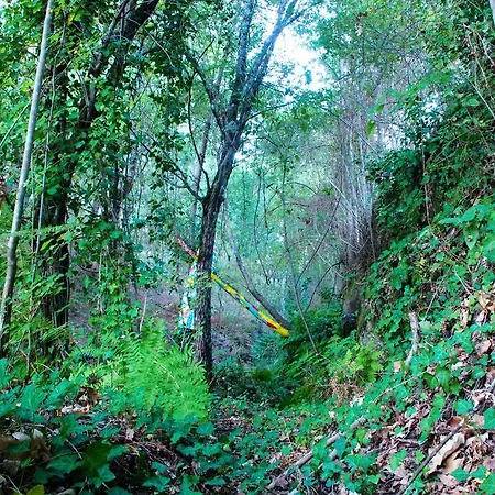 Eco Camping Juncal