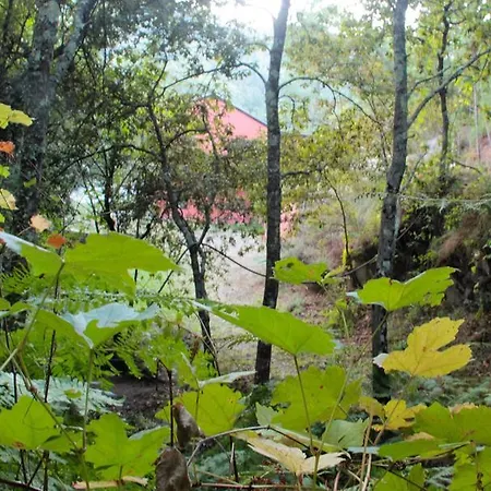 Eco Camping Juncal * Marco de Canavezes