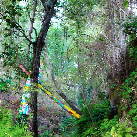 Eco Camping Juncal Camping