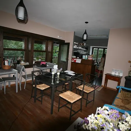 Eco Camping Juncal